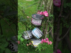 Inchiostro Offset di piante pure per imballaggi alimentari